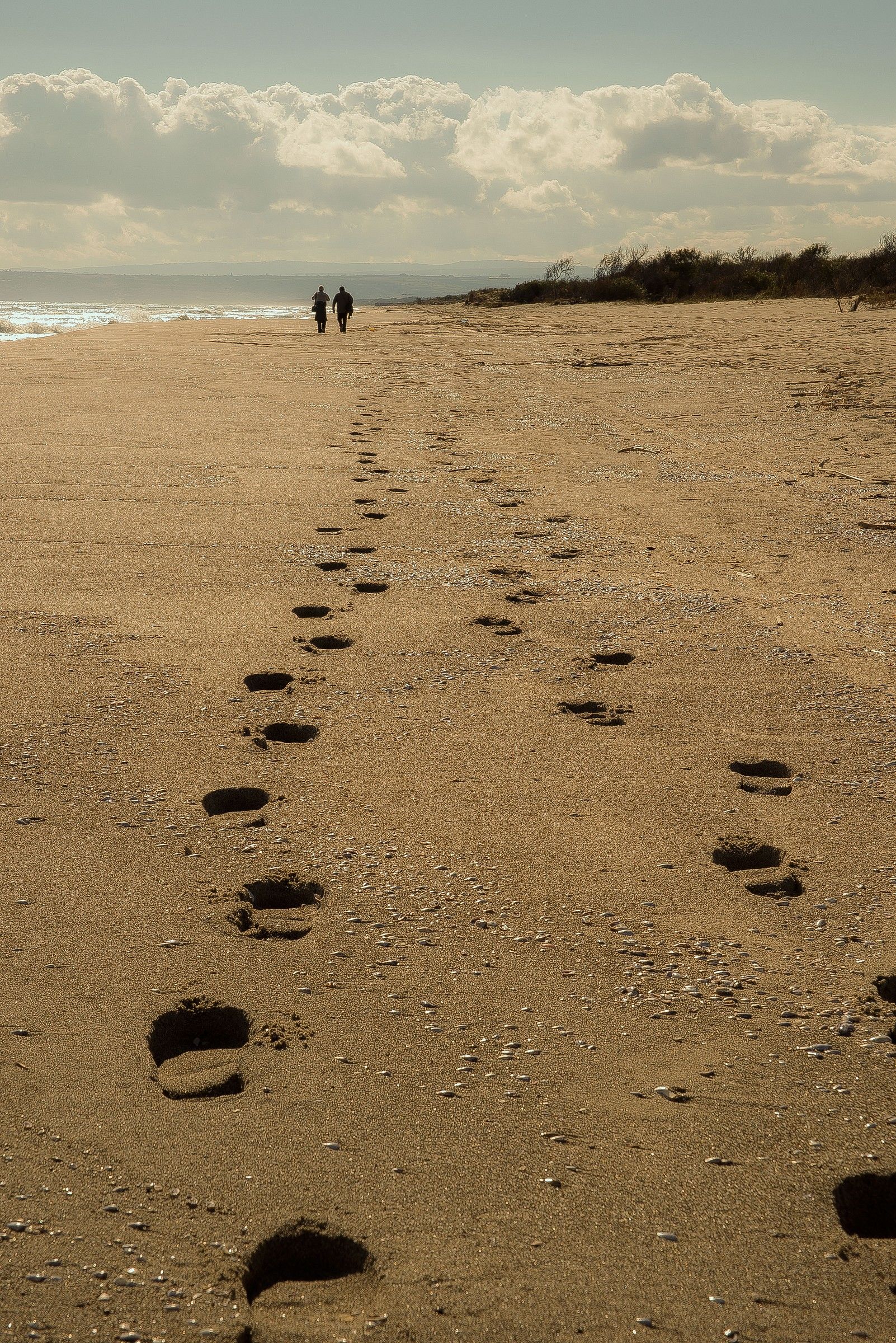 riserva naturale del simeto (ct)