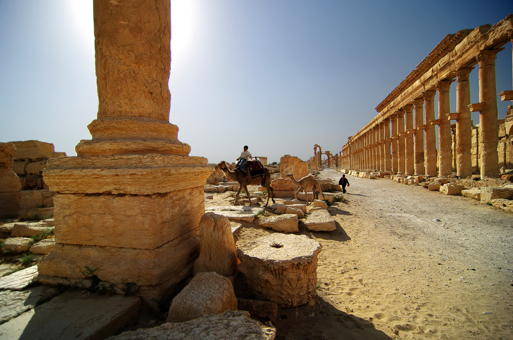 Siria - Palmira