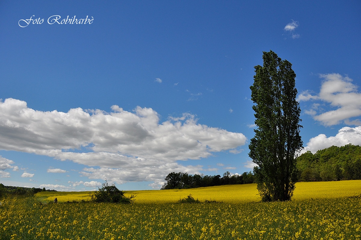 Vento Primaverile...