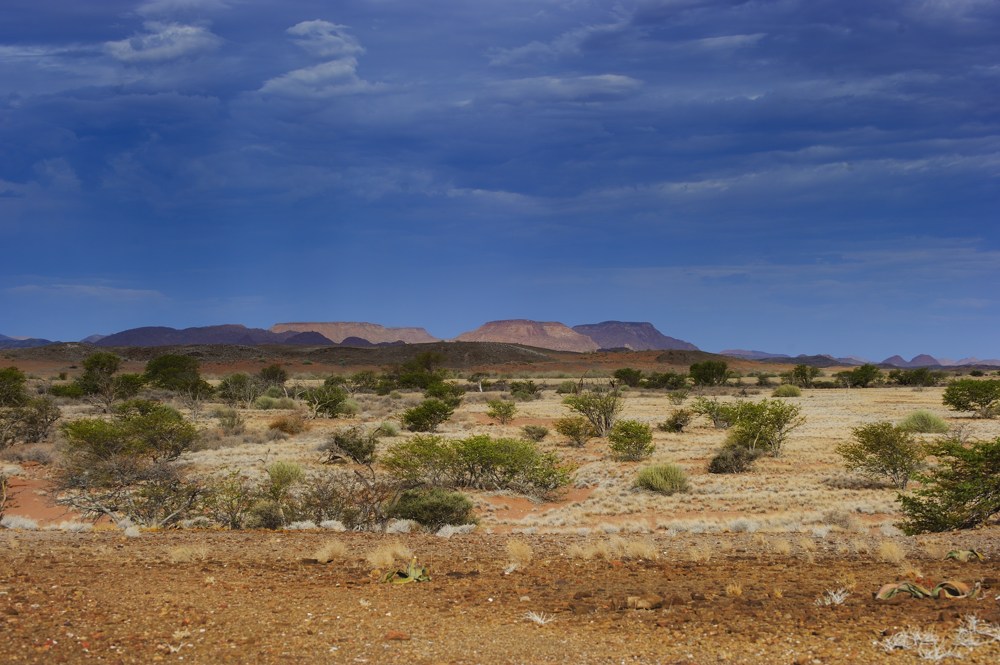 Damaraland