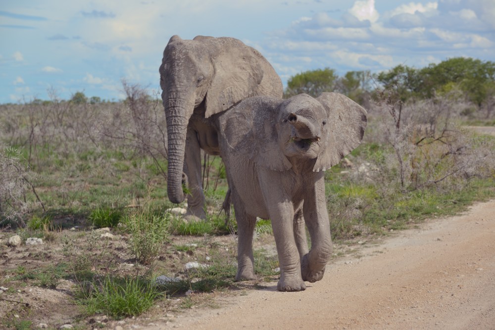 Etosha