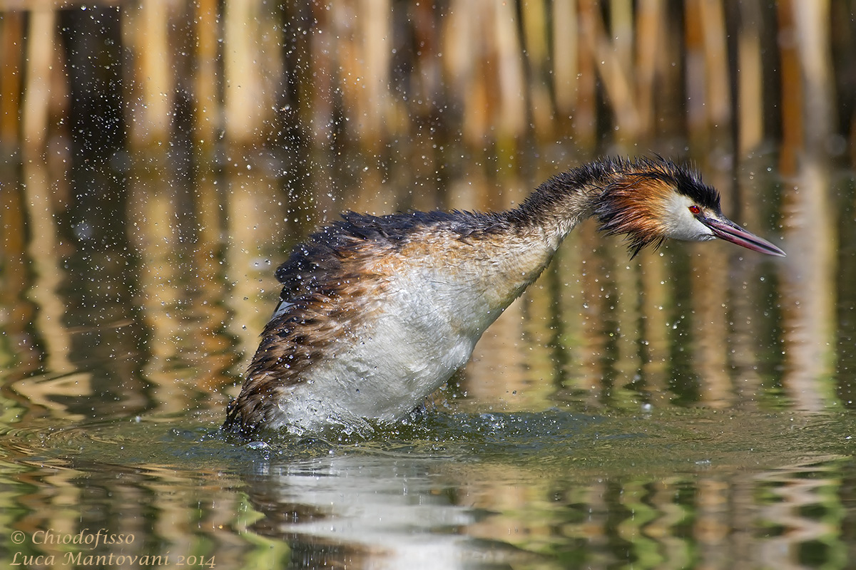 Dopo tanta pesca una sgrullatina ci sta!