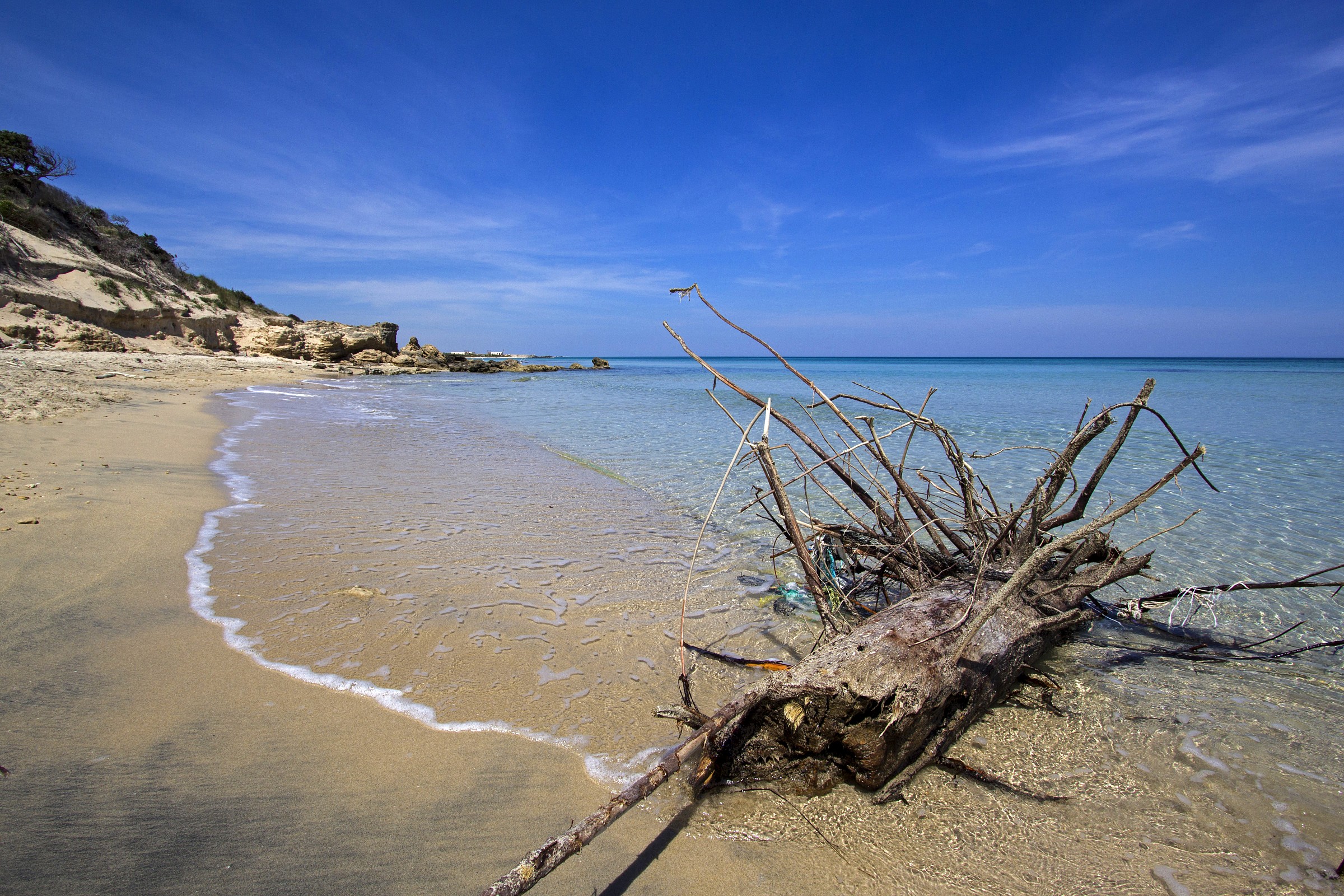 Torre Guaceto (Brindisi)