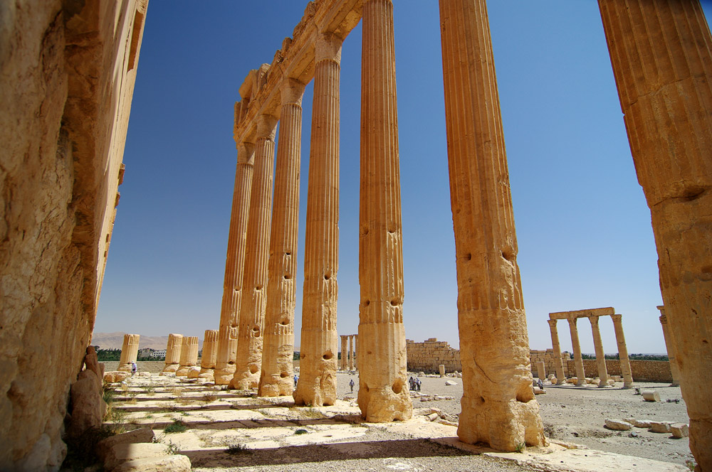 Siria - Palmira - splendidi colonnati