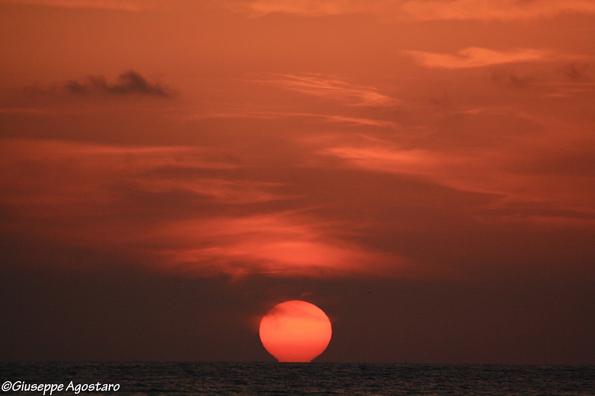 Sunset Island females