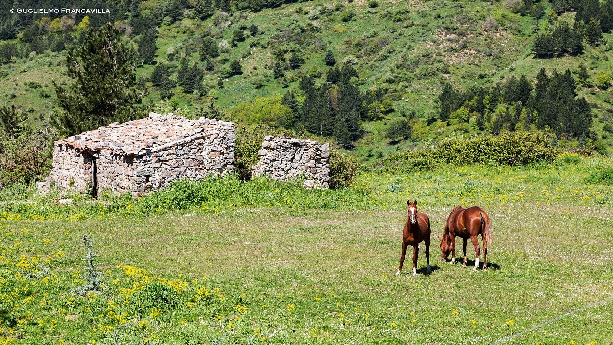 Verso Portella Mandarini