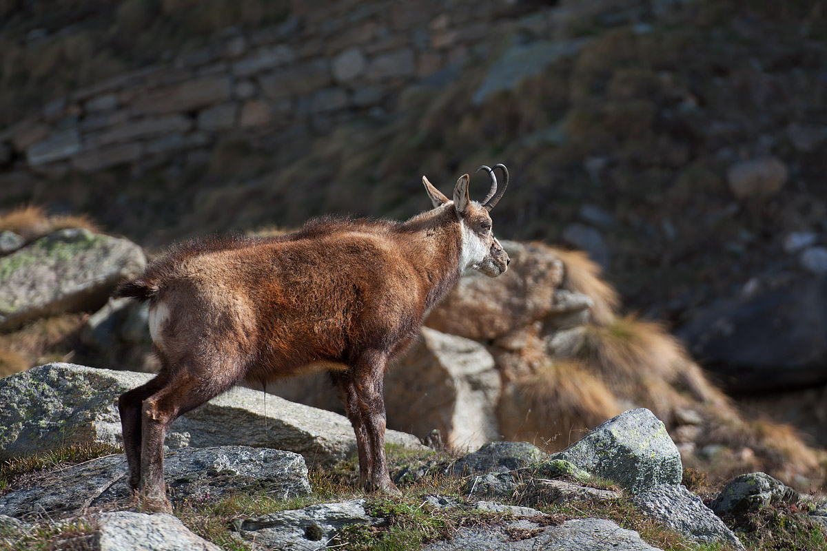 From fear me under I (male version)