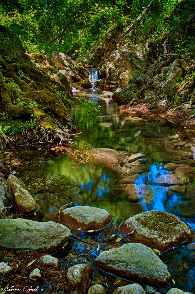 Welcome to the Jungle