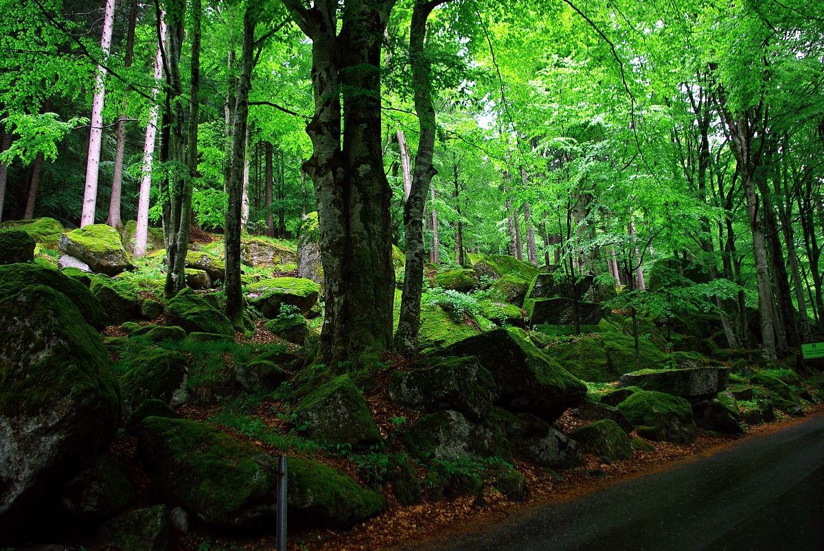 bagni di San Martino