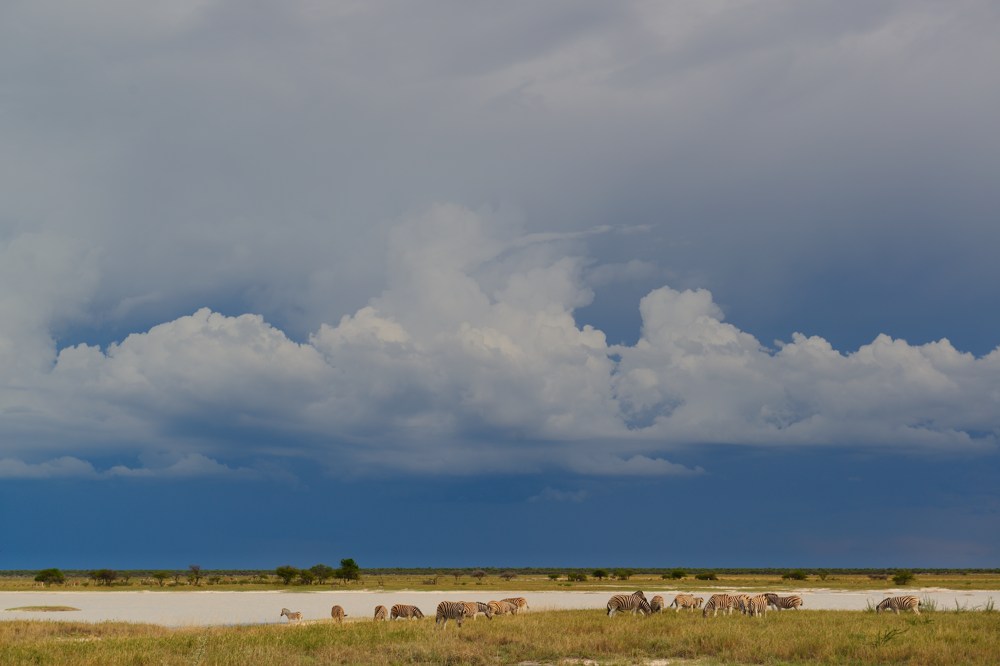 Etosha