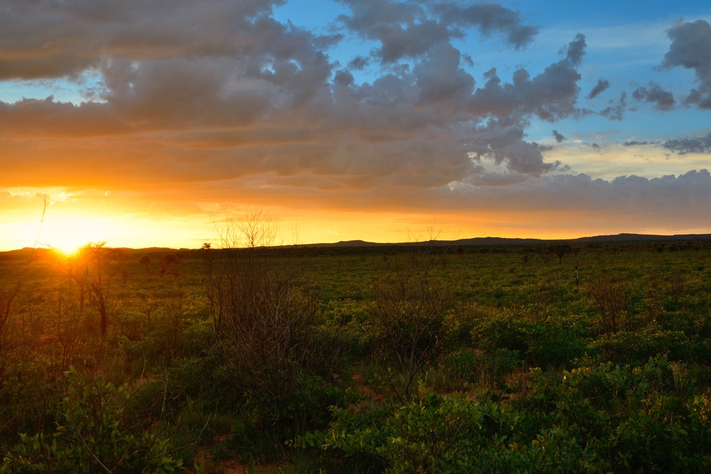 Waterberg Plateau