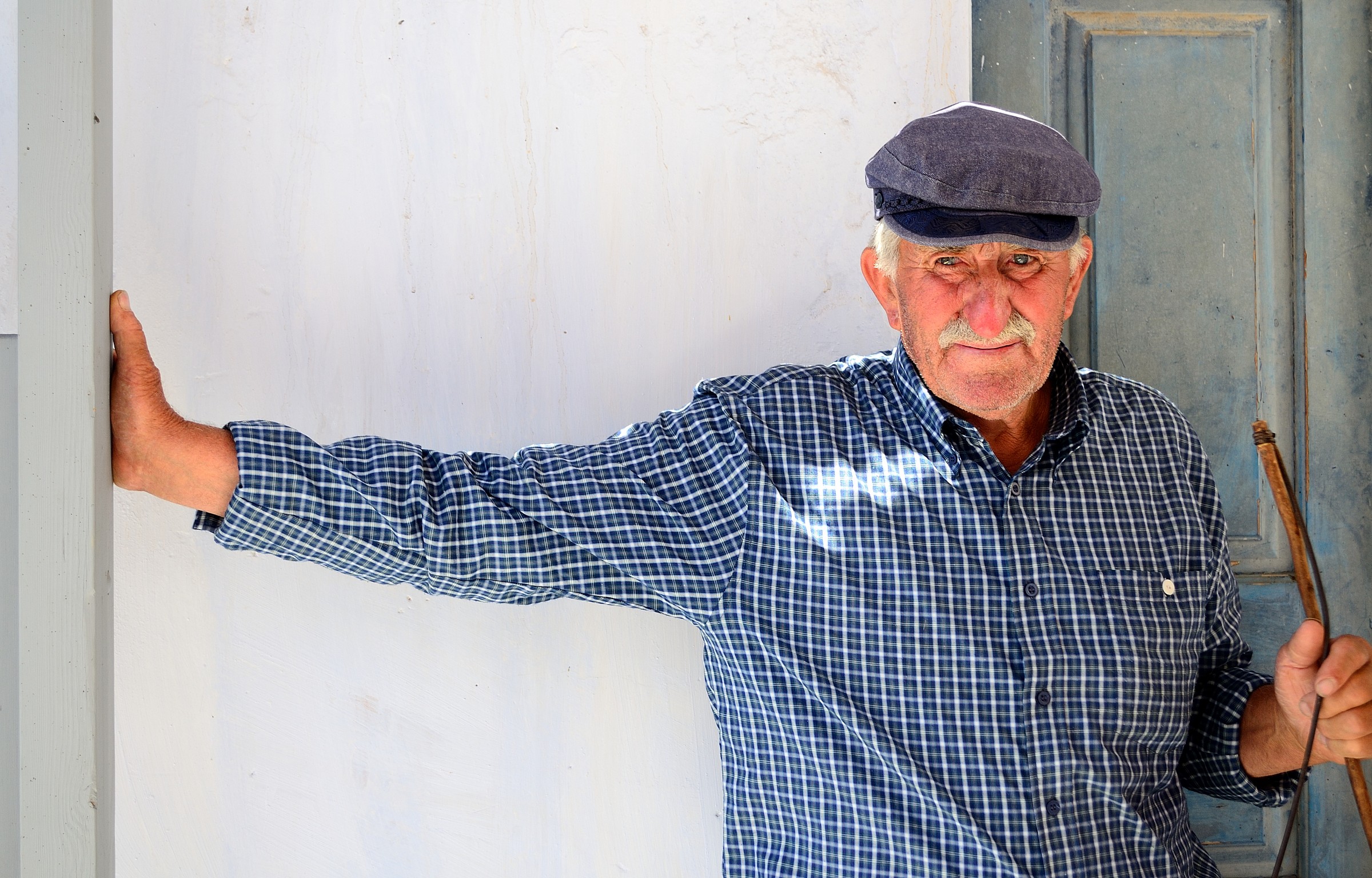 Asinaio greco - Santorini