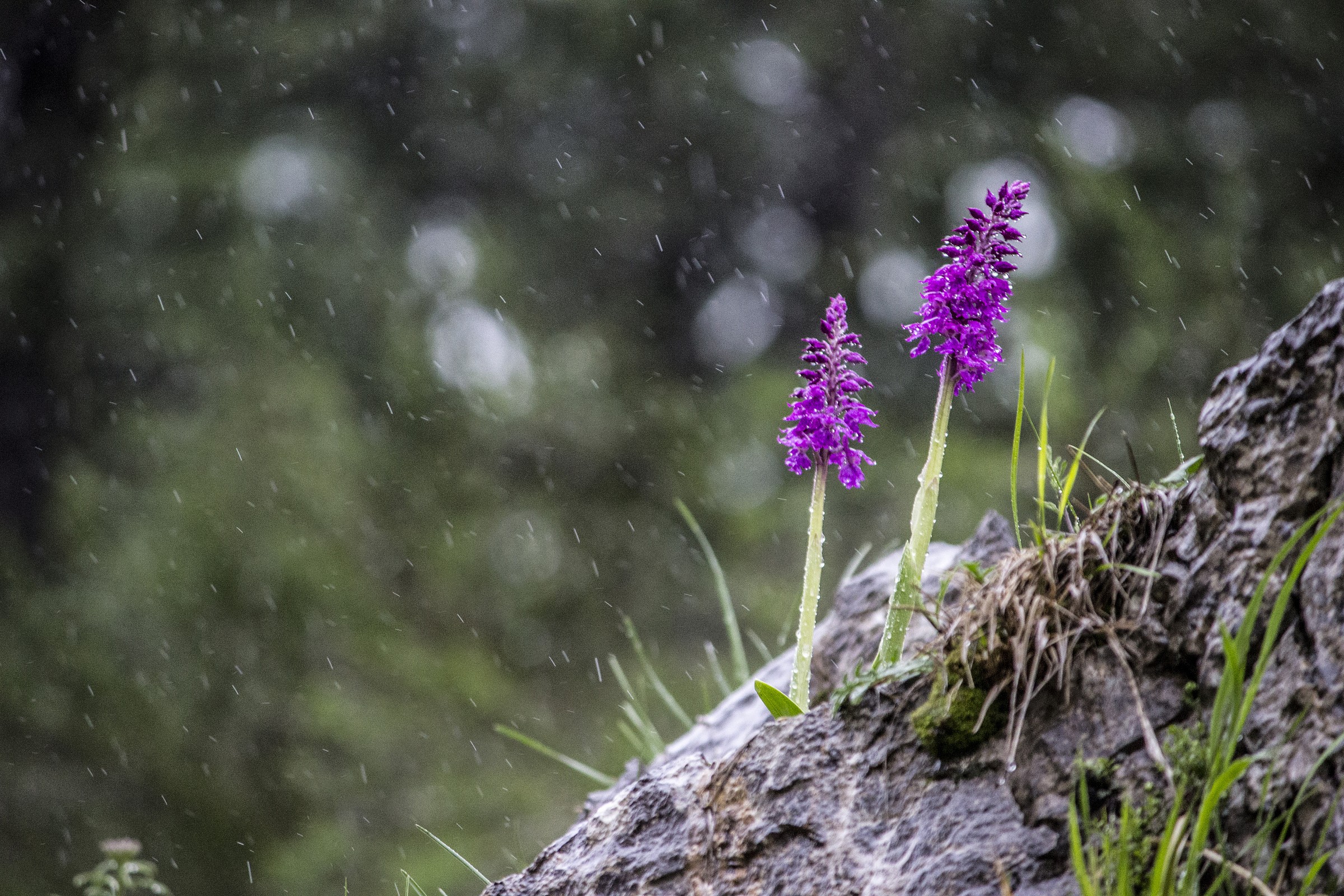 Water May makes us beautiful.