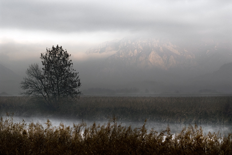 AWAY FROM THE ... GRIGNA