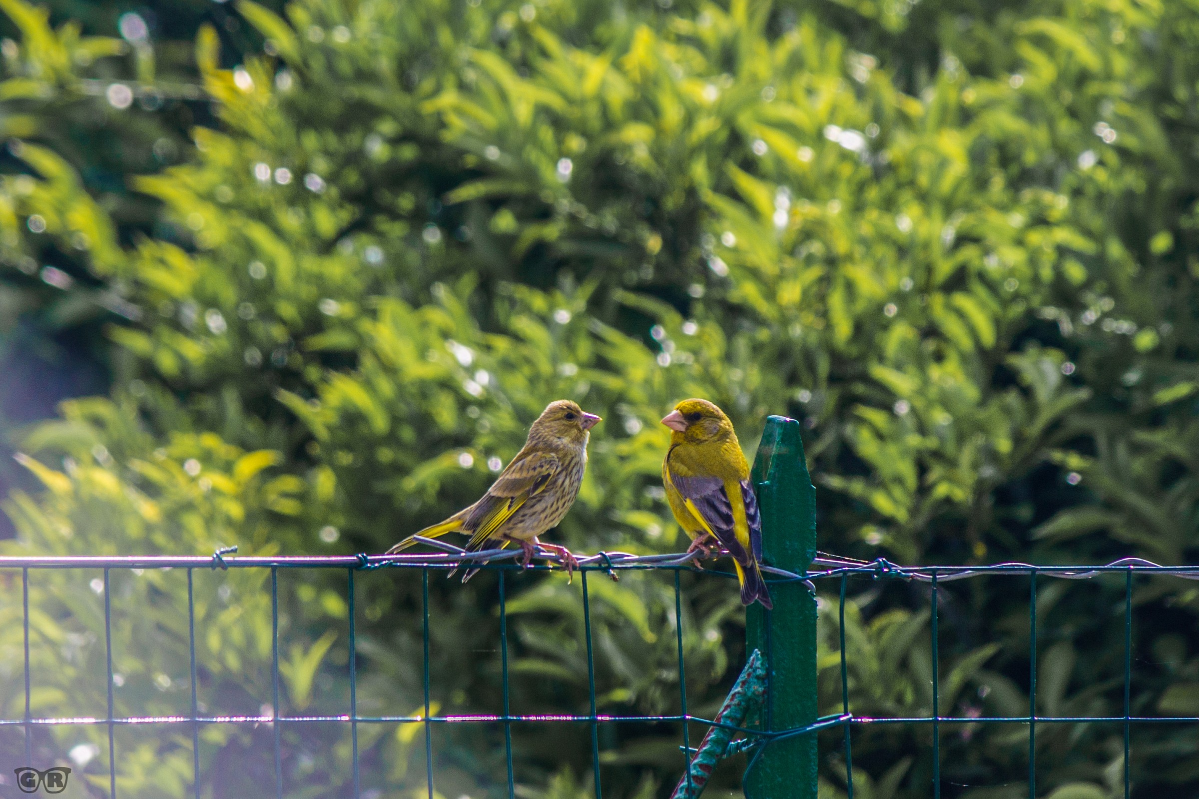 MA se io e te... Ci si piacesse?