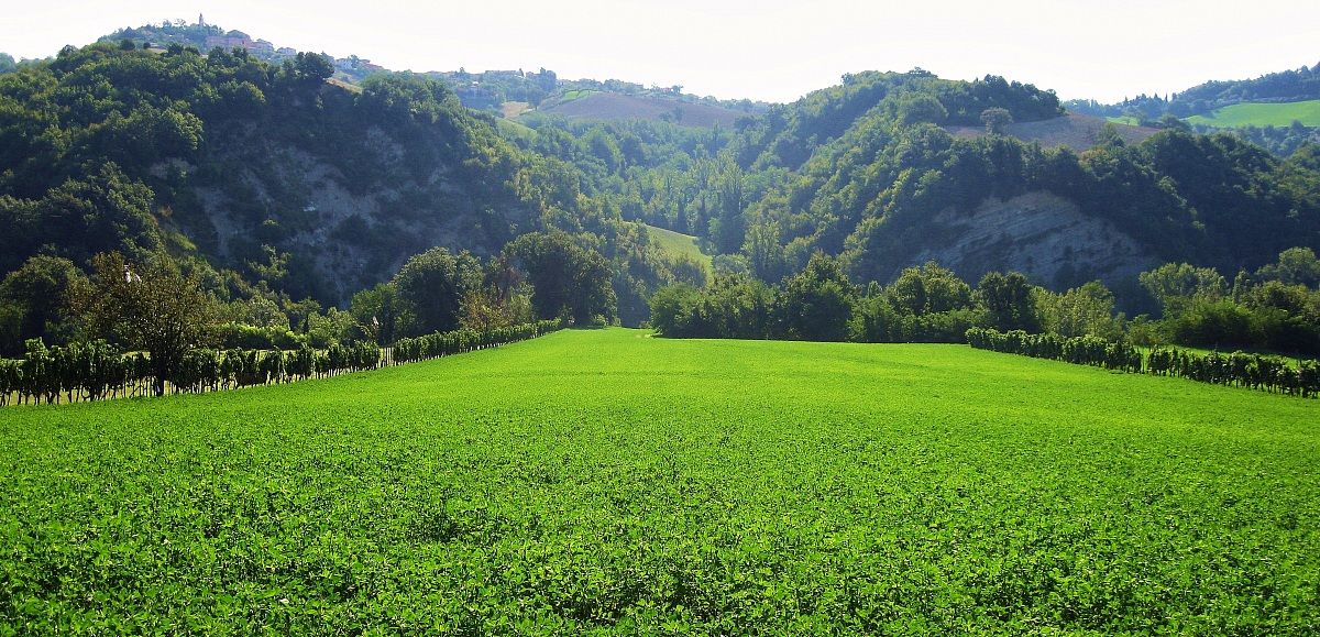 countryside near Sassocorvaro