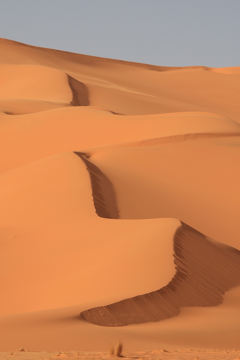 scratches on the sand