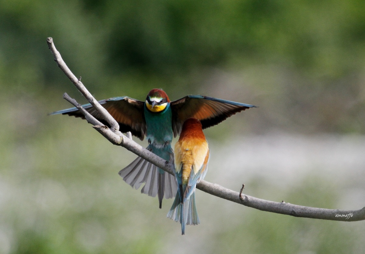 Guarda come sono bello!!!!!!