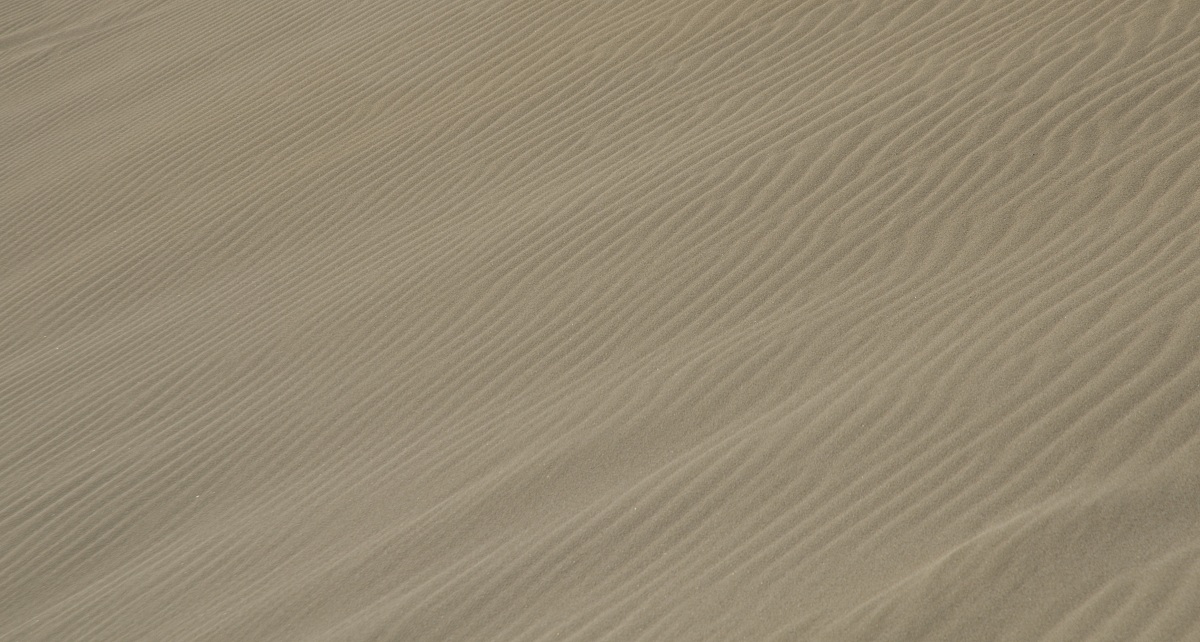 Park of the Dunes (Fuerteventura)