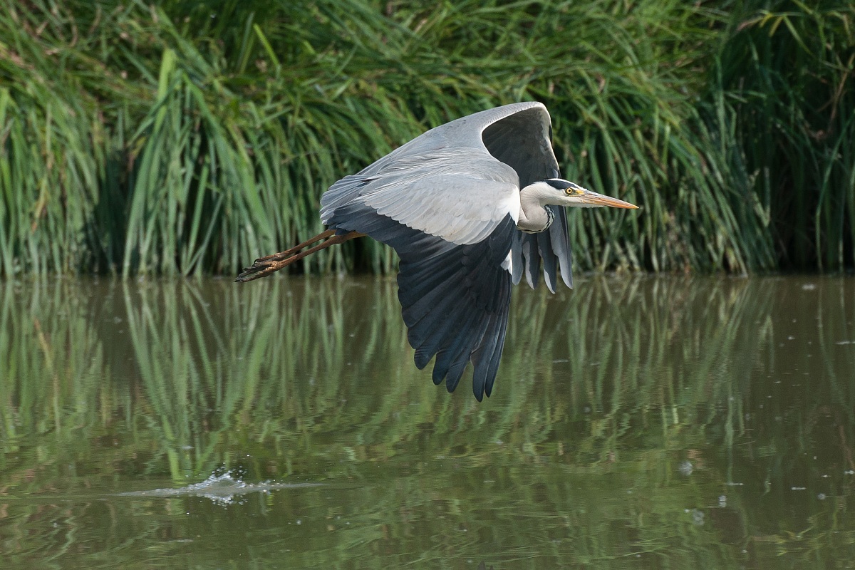 A surface of the water