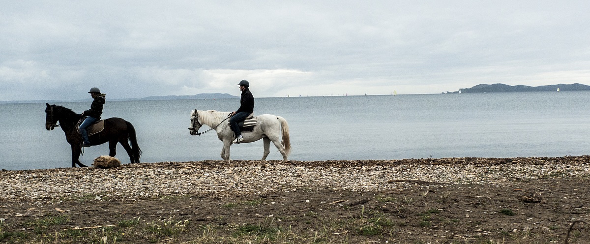 Bou de la Marine Toulon