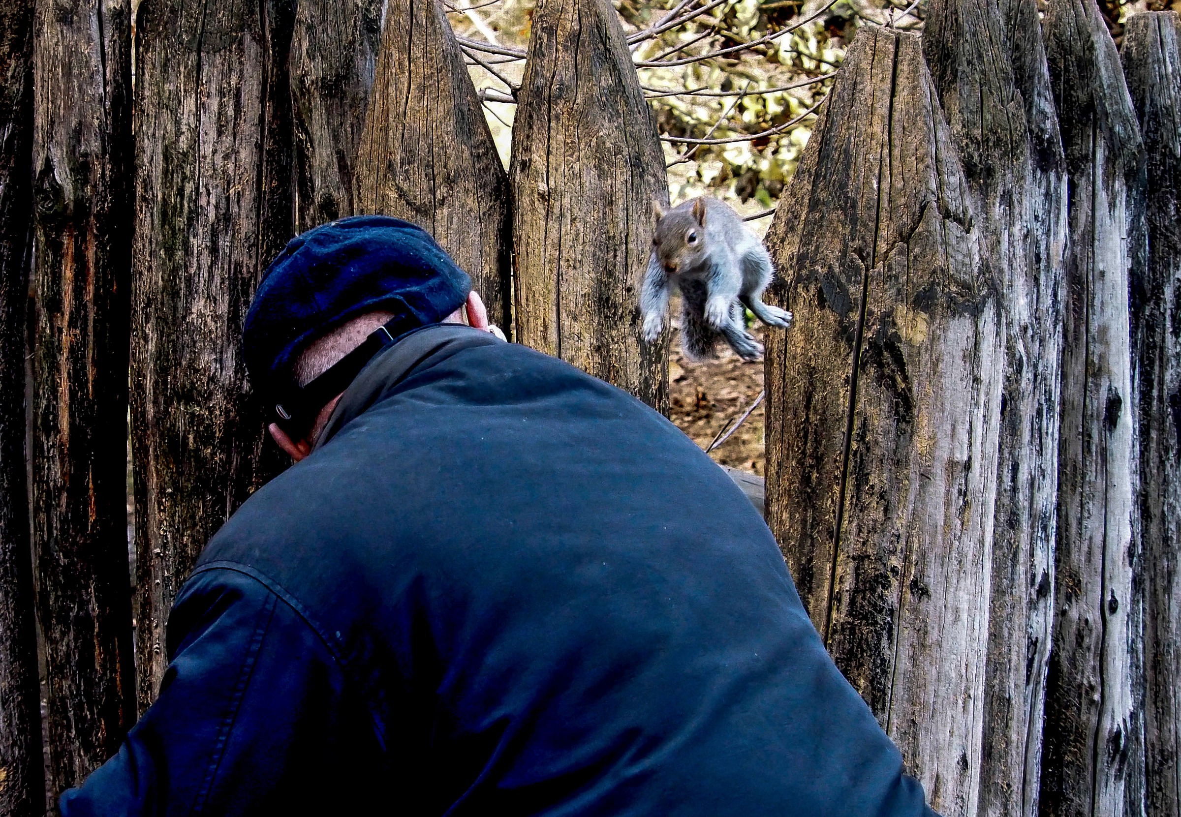 Arrivoooooooooooooooooooooooooooooooo ..............