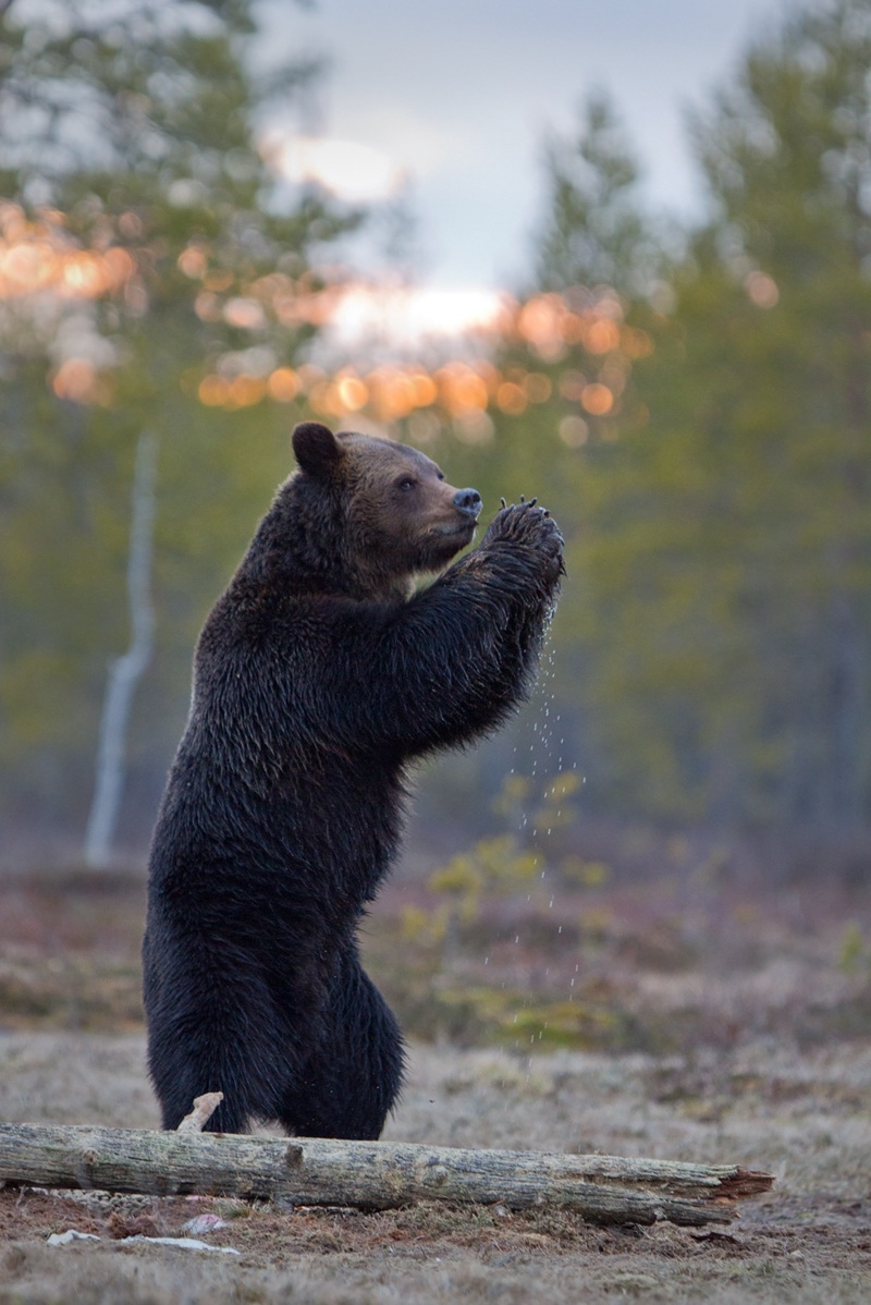 Dacci oggi il nostro pane quotidiano