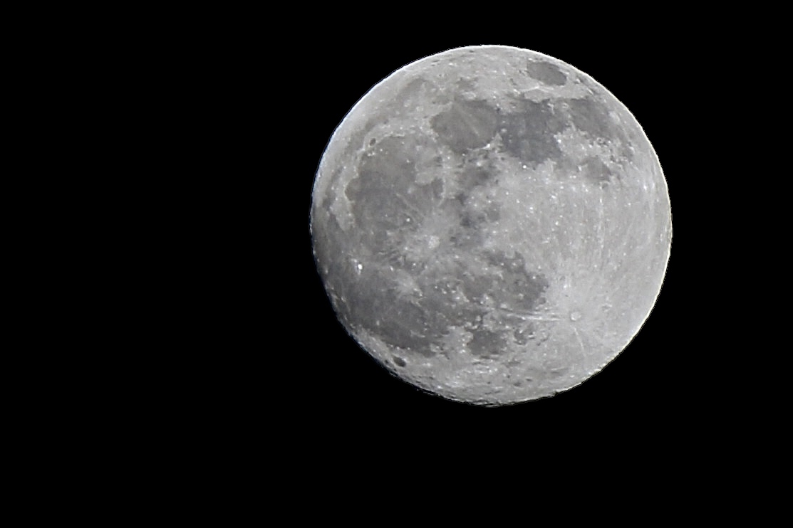 prima o poi ti acchiappo!