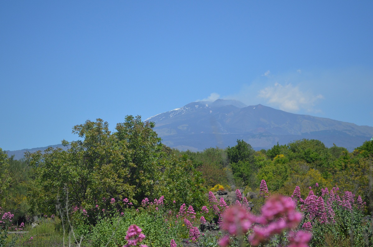 His Majesty ... Etna!