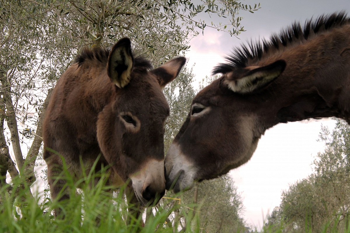 La tenerezza non ha limitazioni...