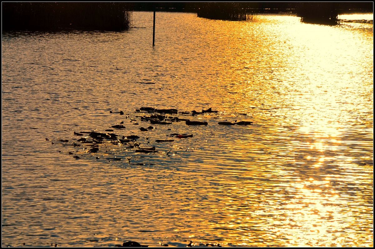 palude di Colfiorito