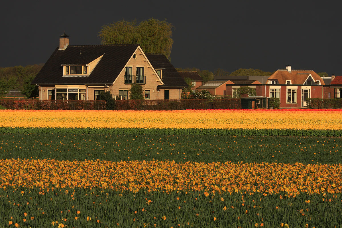 Alba con cielo plumbeo