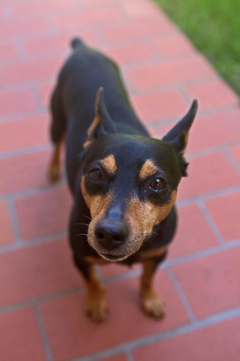 The love in the eyes of those who look at you ...