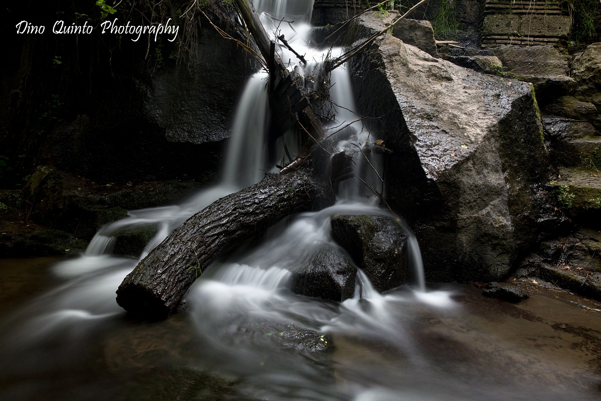 Parco regionale valle del Treja