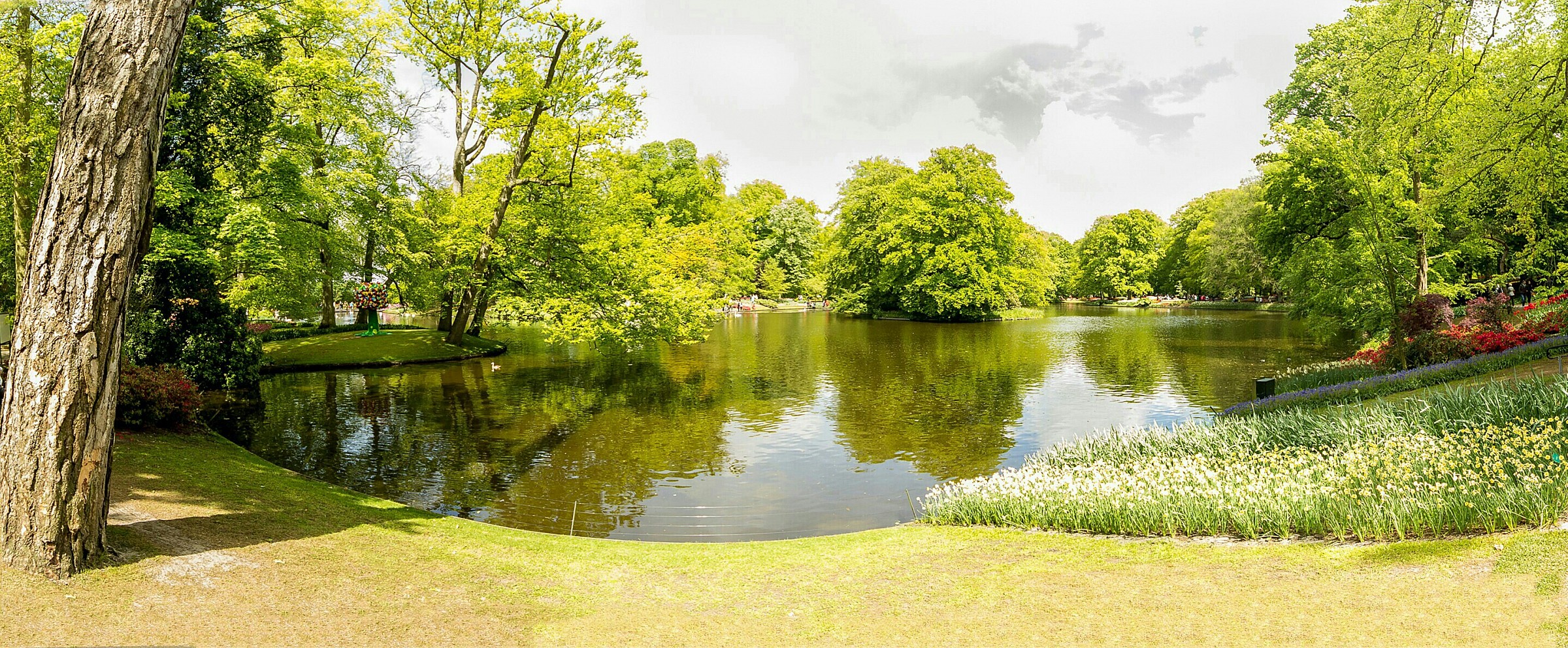 Dal Keukenhof, parco botanico vicino Lisse, Olanda