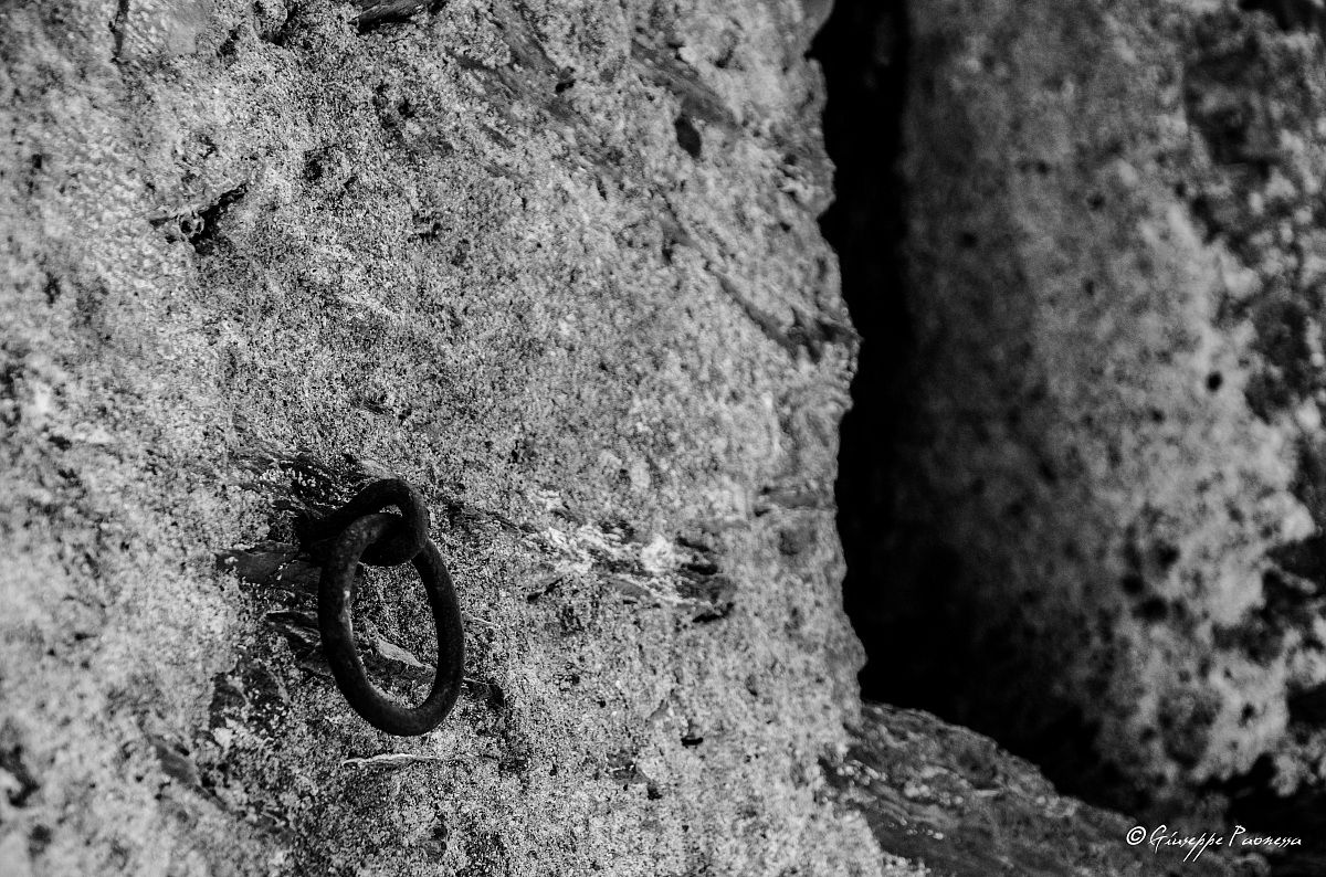 attacca u ciucciu...