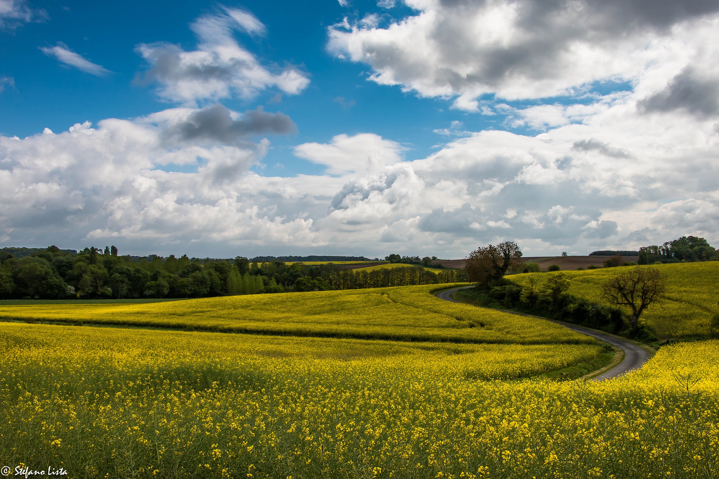 Countryside around Loches (Loire Valley)