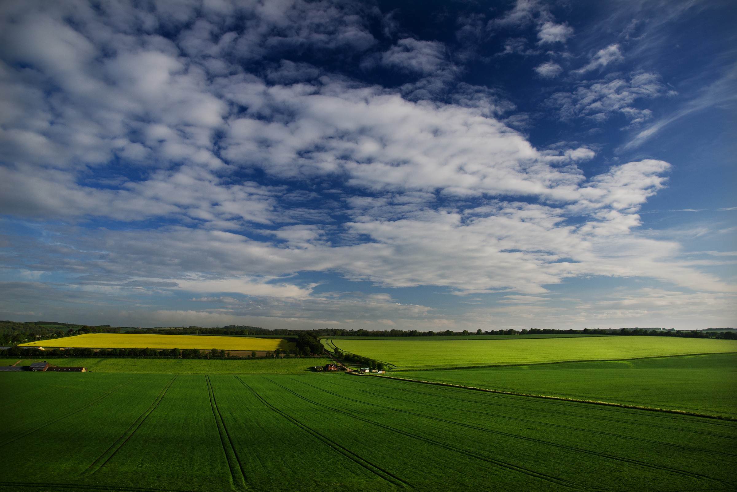 Farm in Spring
