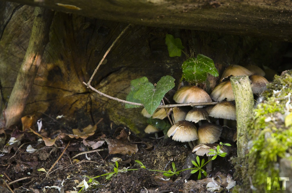 Un angolino nascosto