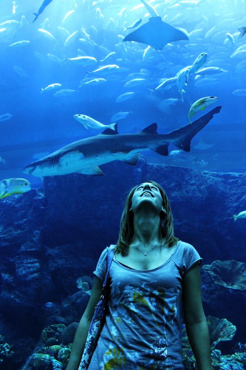Aquarium in Dubai