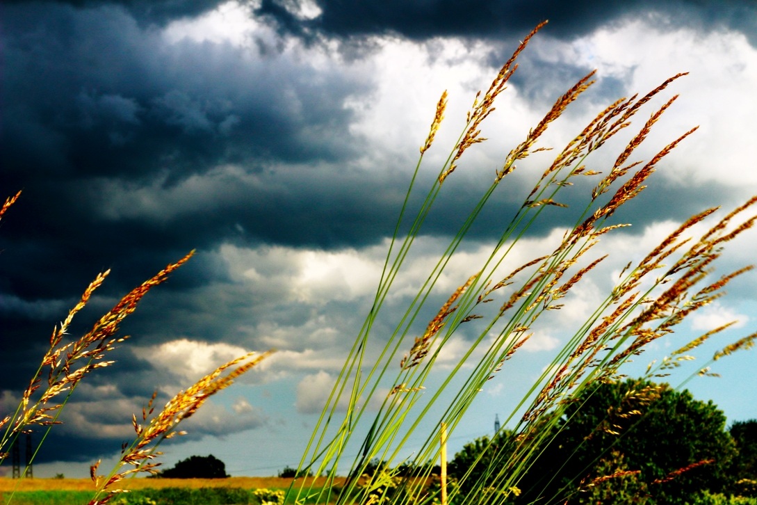 Sturm und Grass!