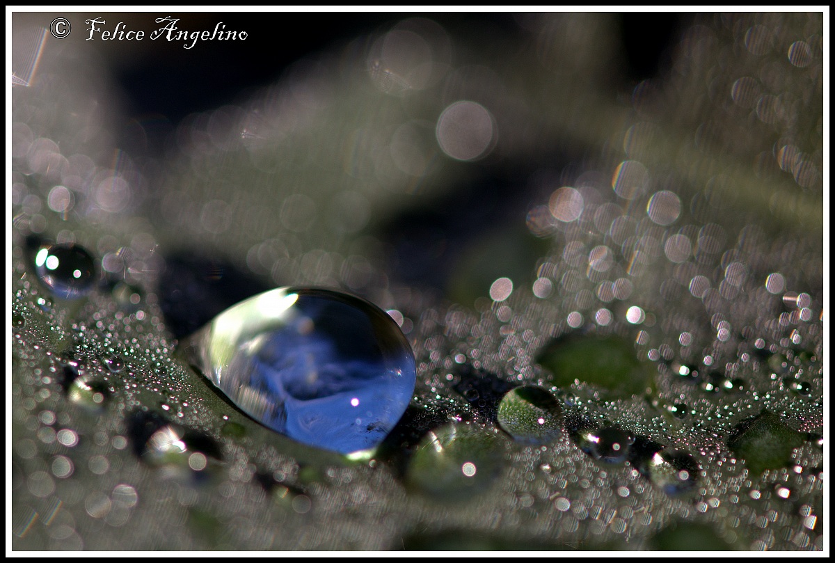 Raindrop