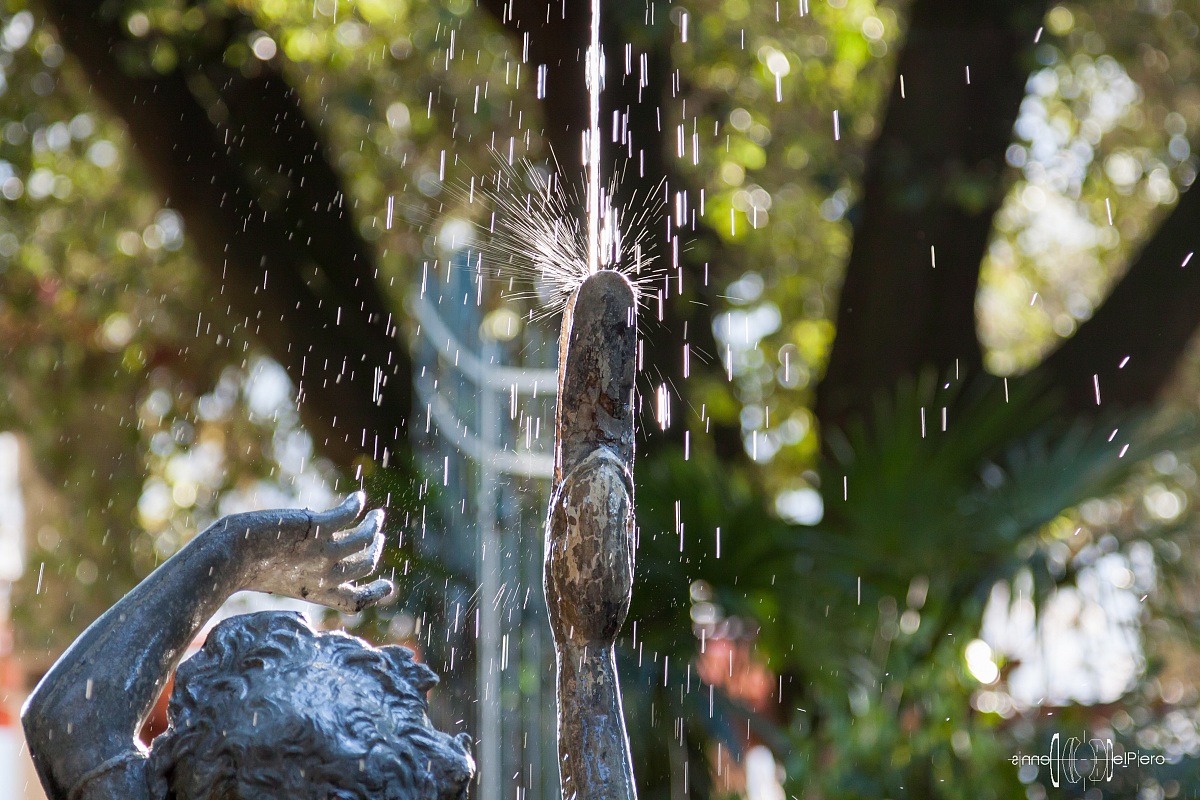 Park of Miramare (Trieste)