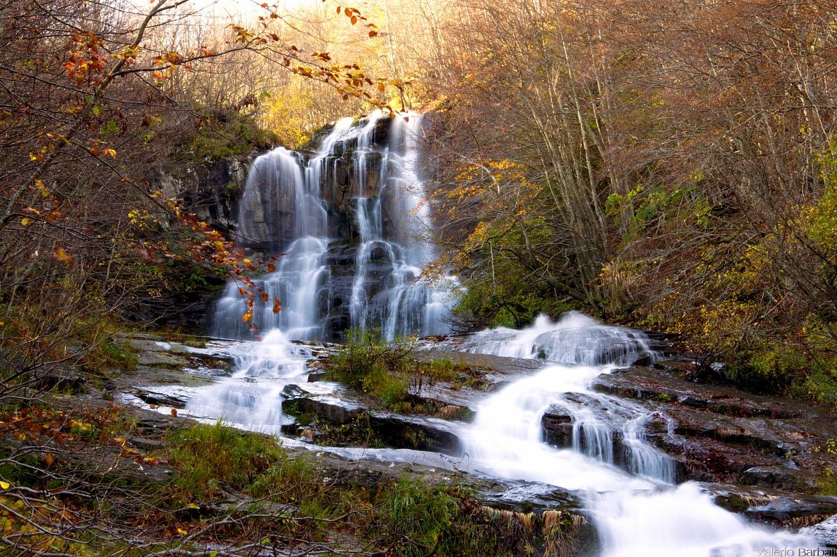 Niagara Gargoyle, Fellicarolo (Fanano) mo-