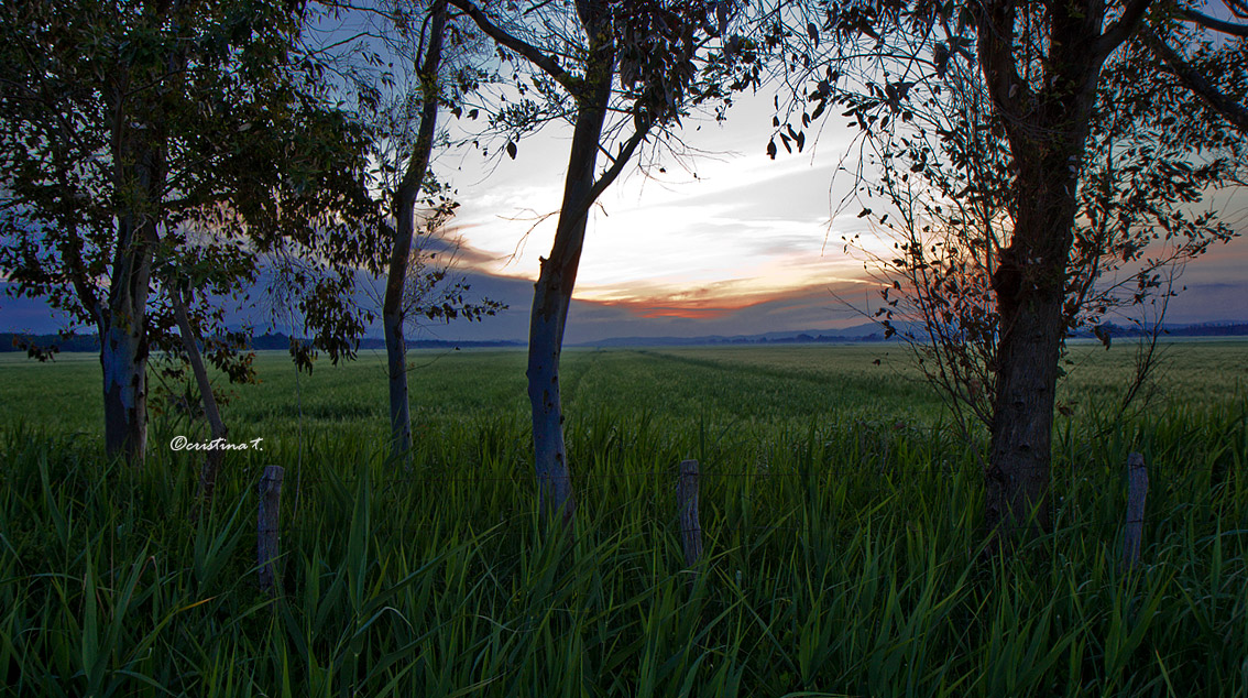 All'imbrunire...(Maremma)