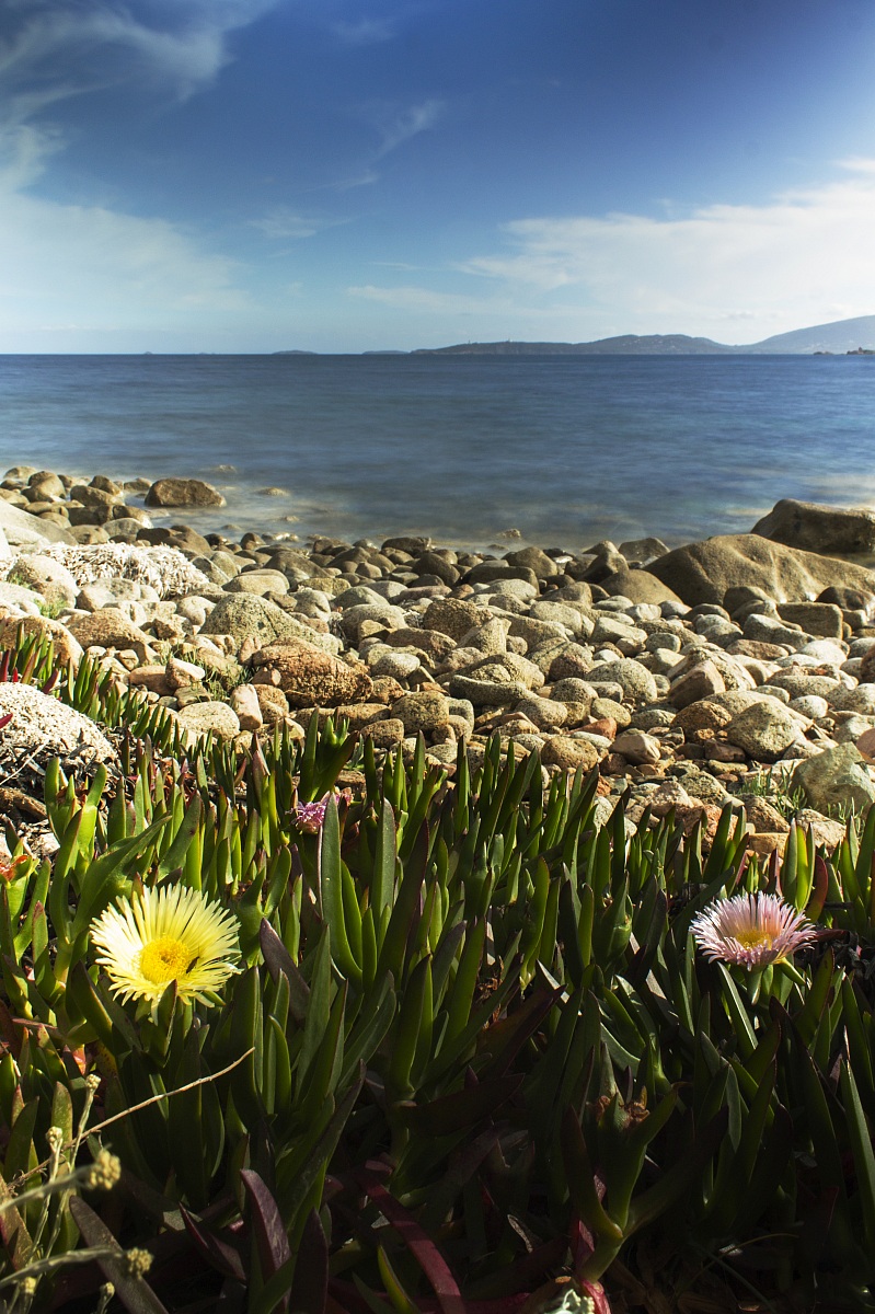 presso punta Capicciola