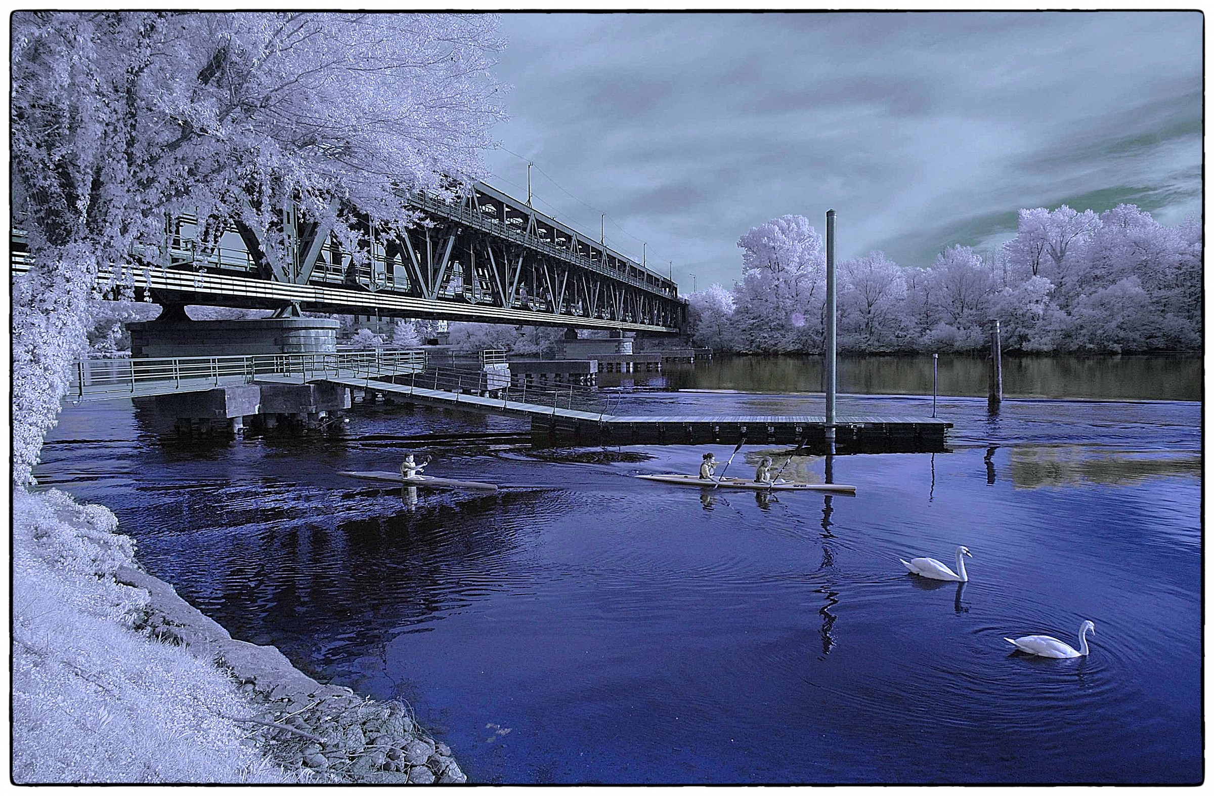 Chi Nuota..e chi Pagaia...