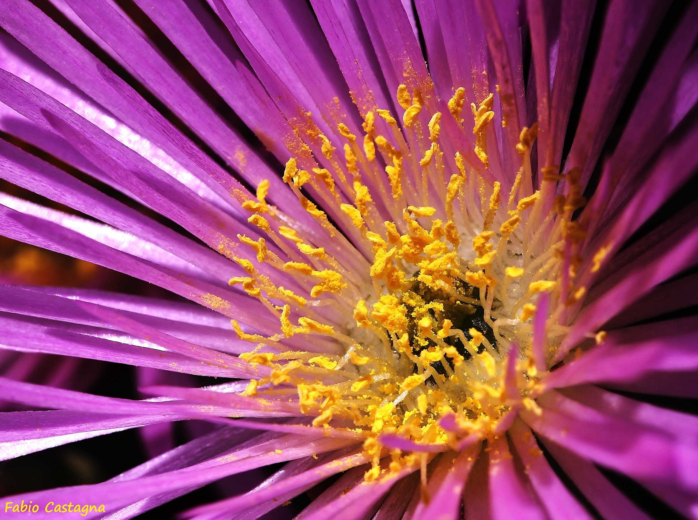 Come un fuoco d'artificio