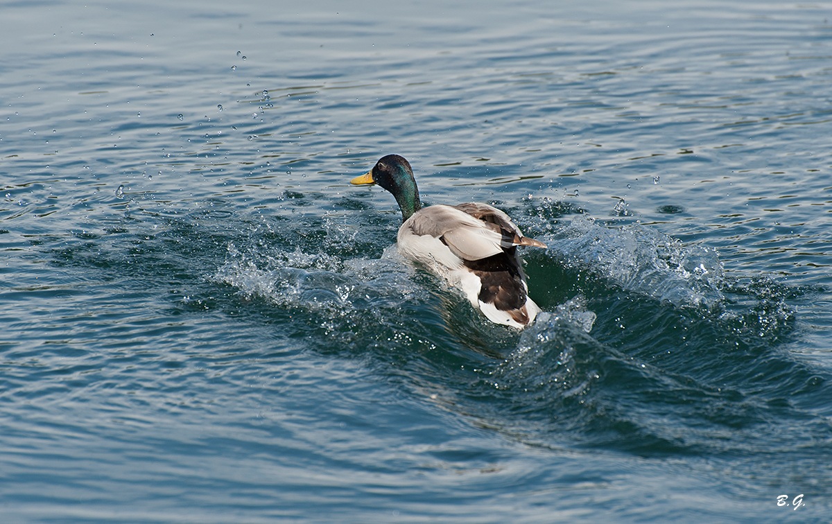 Run away ... But I've taken ...