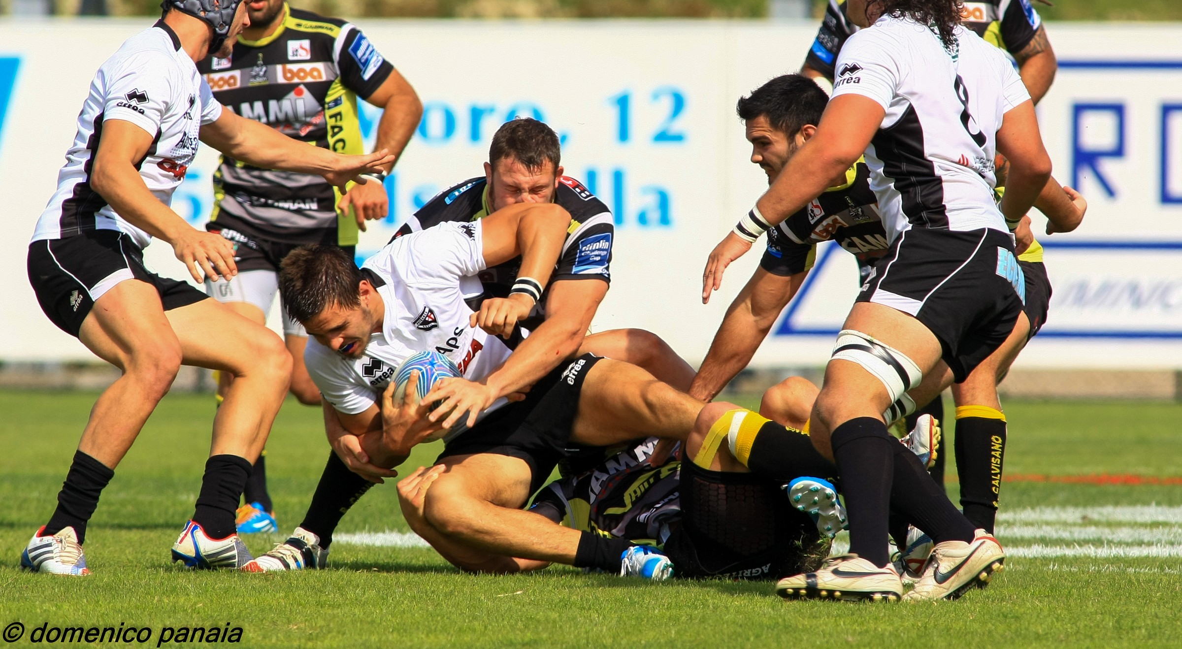 calvisano vs petrarca padova